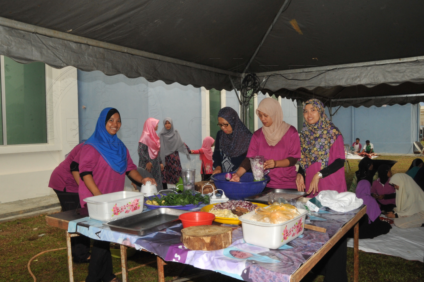 PRO15 150 KORBAN HAS 6915